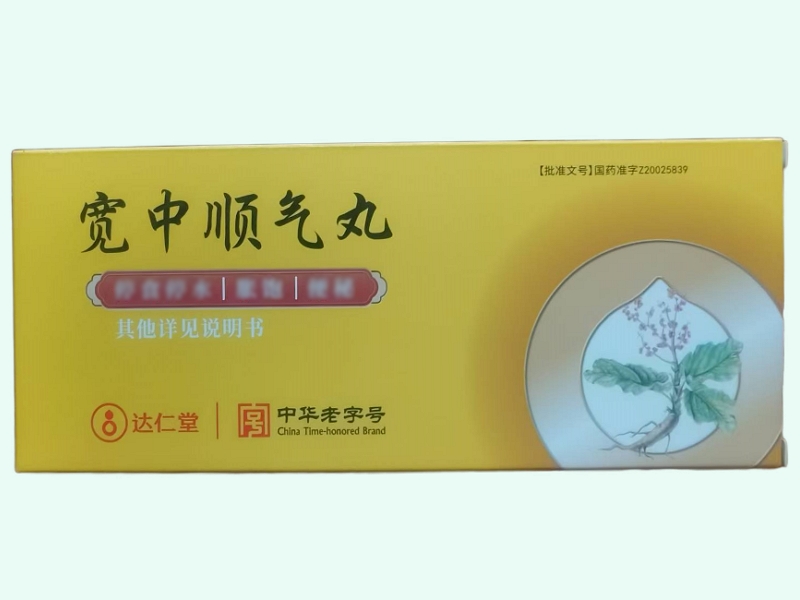 宽中顺气丸(达仁堂)