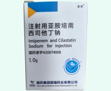 注射用亚胺培南西司他丁钠价格对比 1.0g 国瑞药业