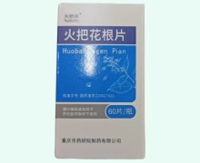 火把花根片价格对比 60片