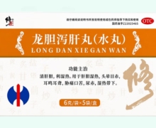 修正龙胆泻肝丸(水丸)价格对比 5袋 天泰