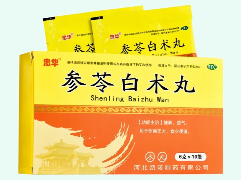 参苓白术丸(忠华)