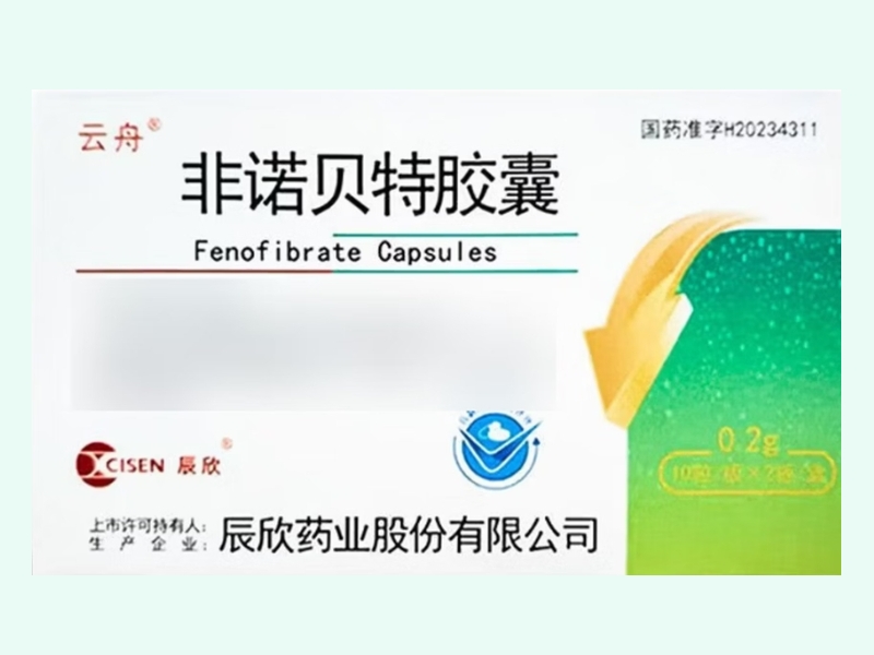 非诺贝特胶囊(辰欣/云舟)