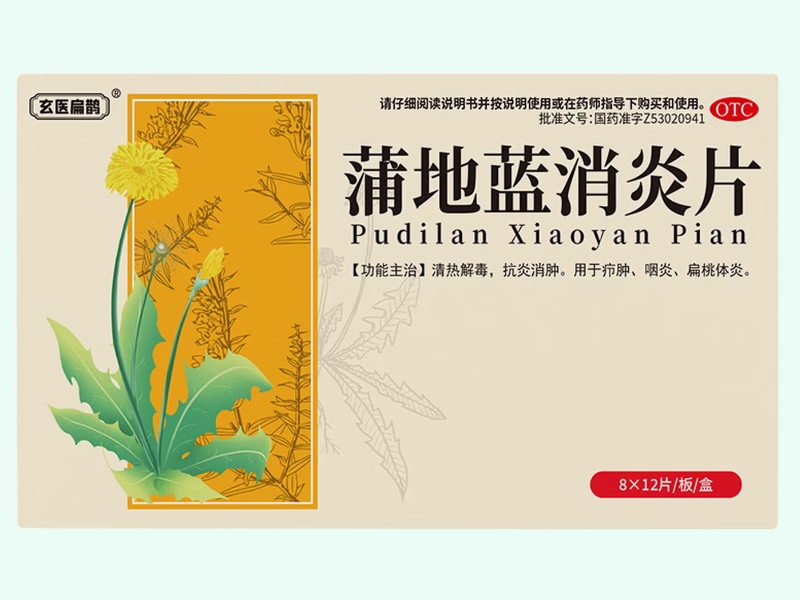 蒲地蓝消炎片(玄医扁鹊)