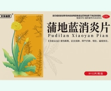 玄医扁鹊蒲地蓝消炎片价格对比 96片