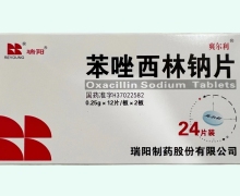 苯唑西林钠片价格对比 瑞阳制药 24片