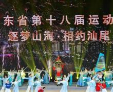 苗家活骨王舒筋定痛胶囊是正规药吗？