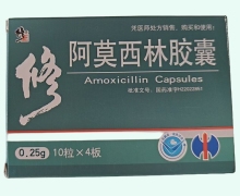 修正阿莫西林胶囊价格对比 40粒 通药制药
