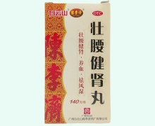 壮腰健肾丸价格对比 140g 广州白云山陈李济药厂