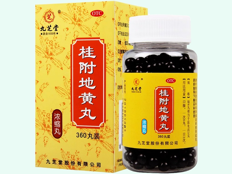 桂附地黄丸(九芝堂)