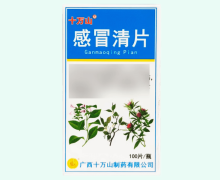 十万山感冒清片价格对比 100片