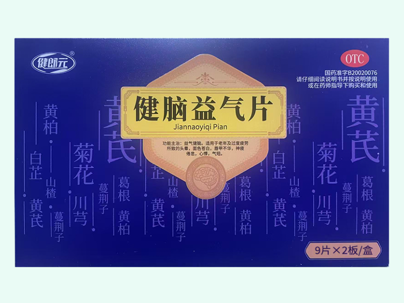 健脑益气片(健郎元)
