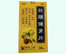 葵花壮腰健肾片价格对比 36片