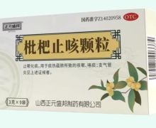 正元盛邦枇杷止咳颗粒价格对比 9袋