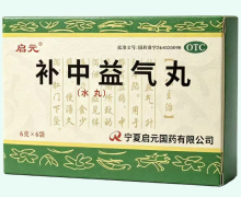 补中益气丸(水丸)价格对比 6袋 启元