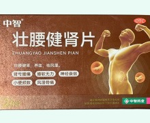 壮腰健肾片价格对比 24片 中智