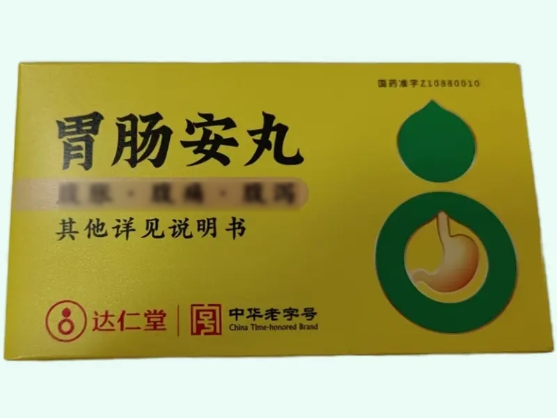 胃肠安丸(达仁堂)