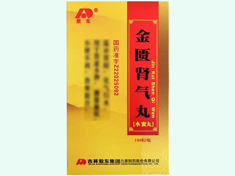 金匮肾气丸(敖东)