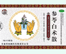 河西参苓白术散价格对比