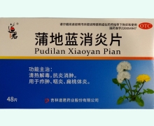 道君蒲地蓝消炎片价格对比 48片