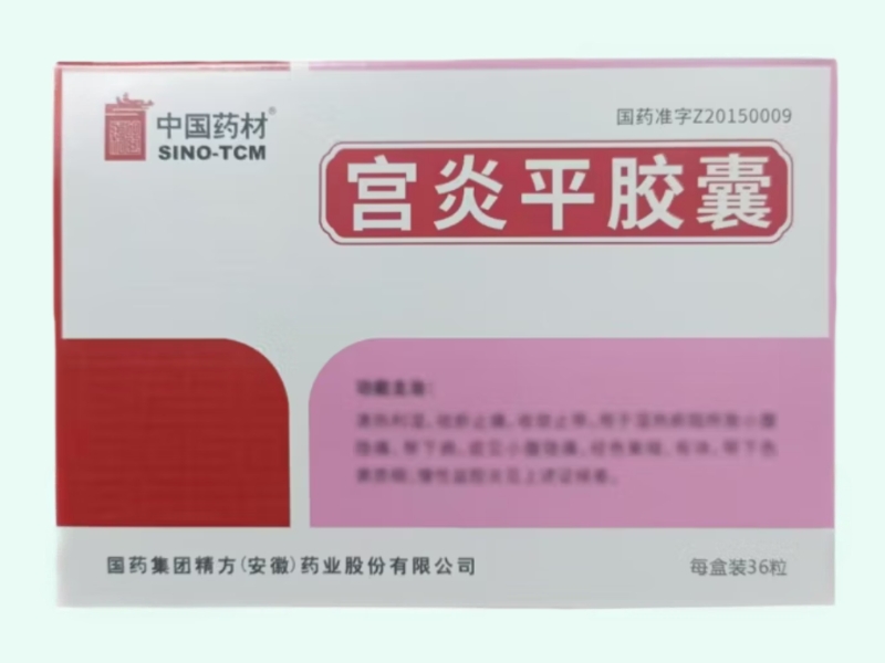 宫炎平胶囊(中国药材)