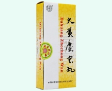 大黄䗪虫丸价格对比 10丸 北京同仁堂