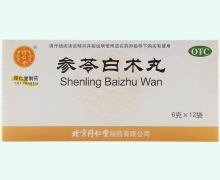参苓白术丸价格对比 2袋 北京同仁堂