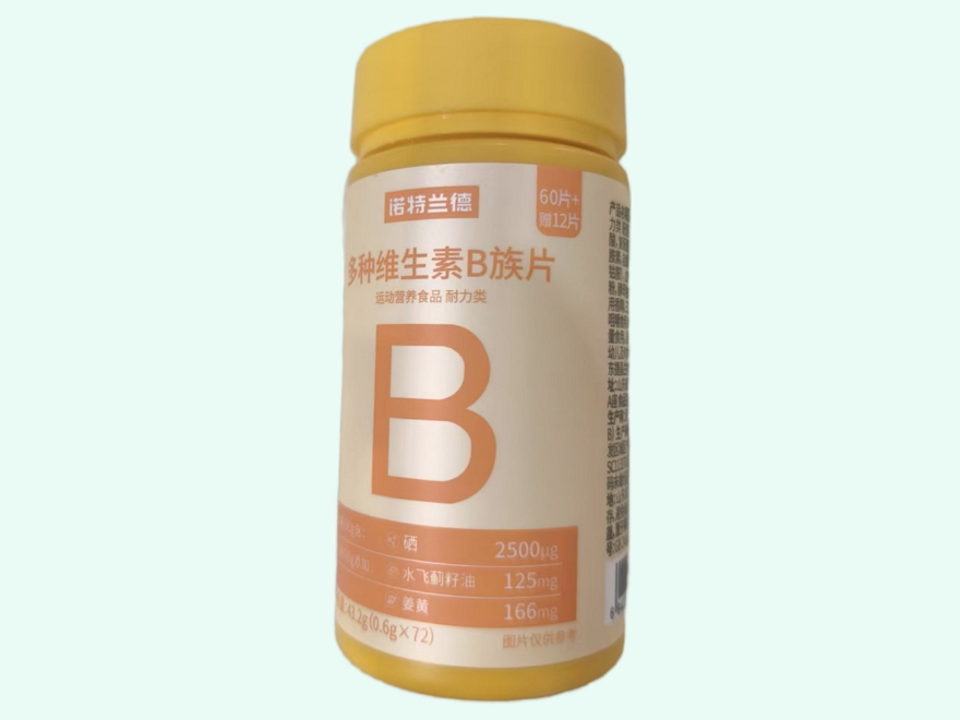 多种维生素B族片(诺特兰德)