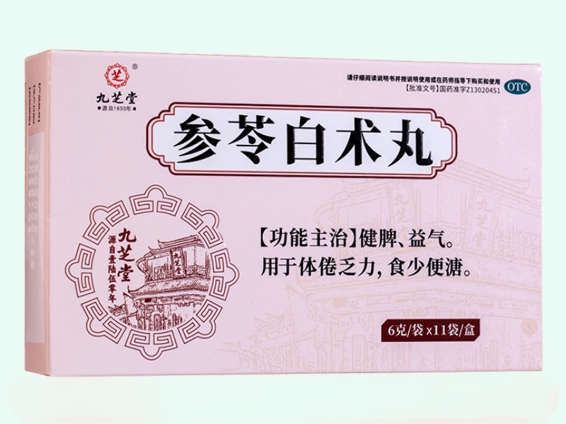 参苓白术丸(九芝堂)