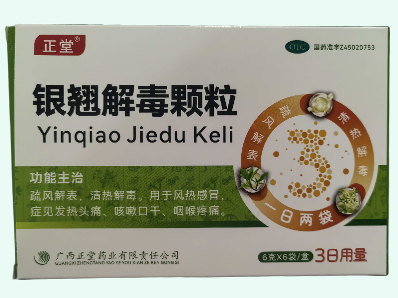 银翘解毒颗粒(正堂)