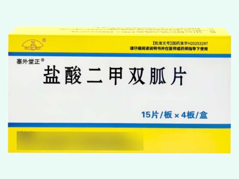 盐酸二甲双胍片(塞外堂正)