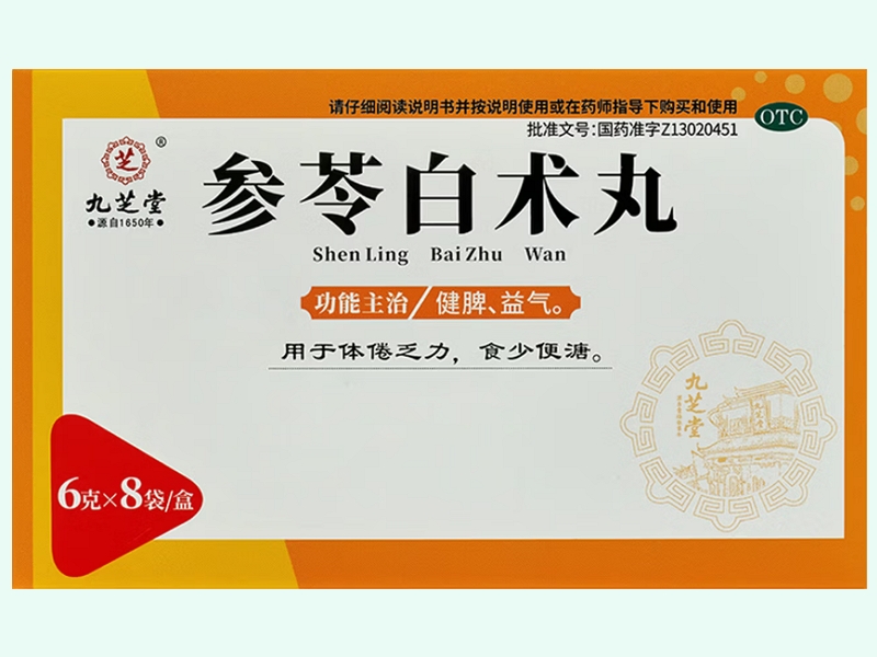 参苓白术丸(九芝堂)