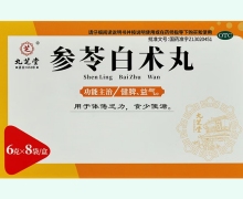 九芝堂参苓白术丸价格对比 8袋