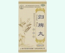 仁济堂归脾丸价格对比 200粒