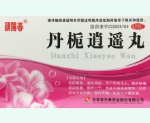 丹栀逍遥丸(颜阳春)价格对比 6袋 天泰药业