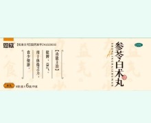 参苓白术丸价格对比 恩威 48袋