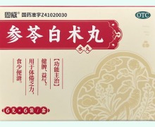 恩威参苓白术丸价格对比 6袋 济世药业