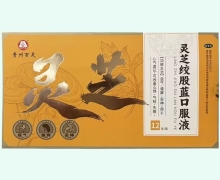 灵芝绞股蓝口服液价格对比 12支