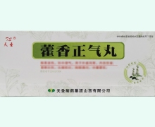 天圣藿香正气丸价格对比 10丸