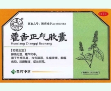 藿香正气胶囊(颐圣)价格对比 12粒 黄河中药