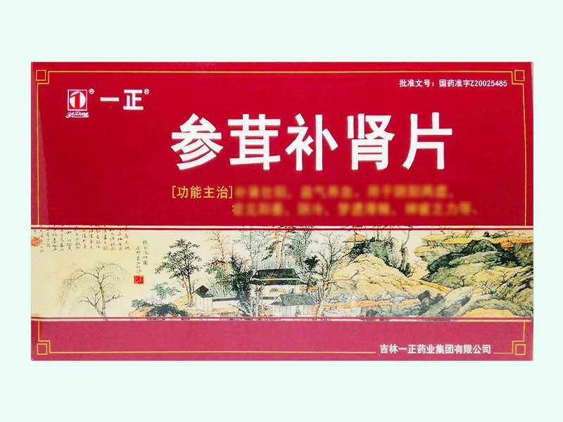参茸补肾片(一正)