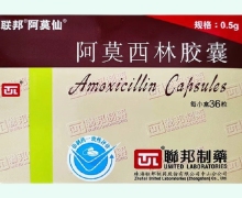 联邦制药阿莫西林胶囊价格对比 0.5g*36粒