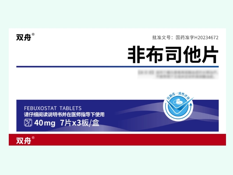 非布司他片(双舟)