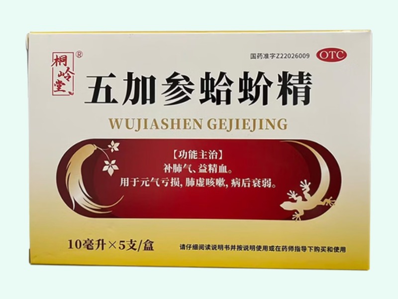 五加参蛤蚧精(桐岭堂)
