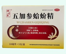 桐岭堂五加参蛤蚧精价格对比 5支