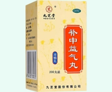 补中益气丸(九芝堂)价格对比 200丸