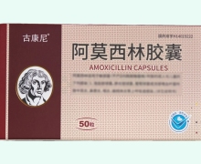 古康尼阿莫西林胶囊价格对比 50粒
