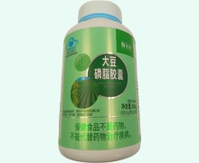 芸璟大豆磷脂胶囊价格对比 300粒
