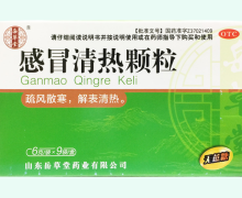 岳草堂感冒清热颗粒价格对比 6g*9袋 无蔗糖