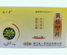 黄杨宁片价格对比 20片 天一堂