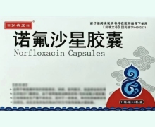 弘義堂诺氟沙星胶囊价格对比 33粒
